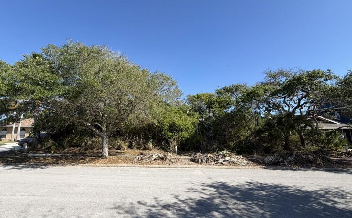 Pictures of Land property located at 70 Ocean Way Drive, Ponce Inlet, FL 32127 for sales - image #1