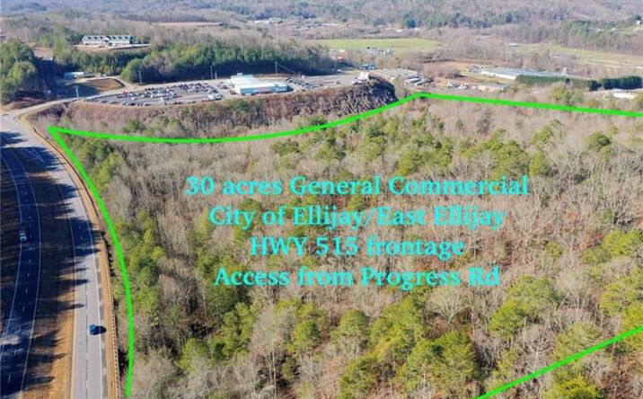 Pictures of Land, Industrial, Office property located at 944 Progress Road, East Ellijay, GA 30540 for sales - image #1