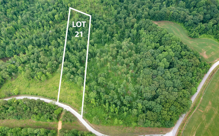 Butler (Lot 21) Road, Pinson