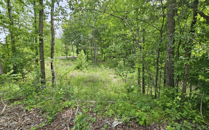 Pictures of Land property located at 104 Sidney Baird Road, Bradford, TN 38316 for sales - image #1