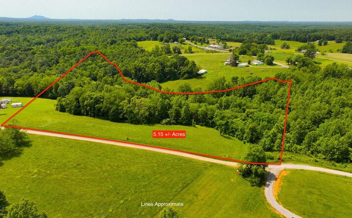 Pictures of Land, Multifamily property located at Tbd English Forrest, Cana, VA 24317 for sales - image #1