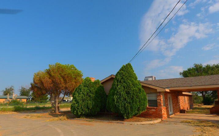 Pictures of Land property located at 901 East County Road 140, Midland, TX 79706 for sales - image #1