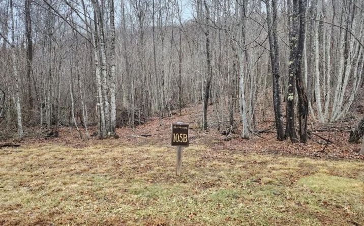 Pictures of Land property located at 0 Beaver Dam Rd, Banner Elk, NC 28604 for sales - image #1