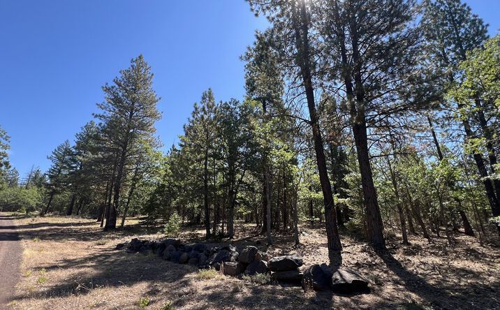 Pictures of Land property located at 407 Blue Spruce Rd, Goldendale, WA 98620 for sales - image #1
