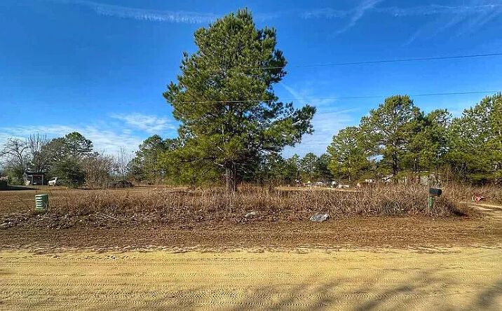 Pictures of Land property located at LOT 11 Zachary Ct, Latta, SC 29565 for sales - image #1