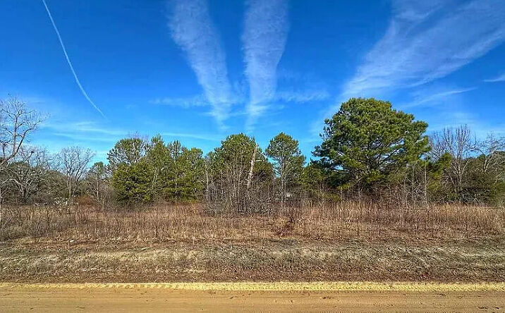 Pictures of Land property located at LOT 13 Copeland Moody Rd, Latta, SC 29565 for sales - image #1