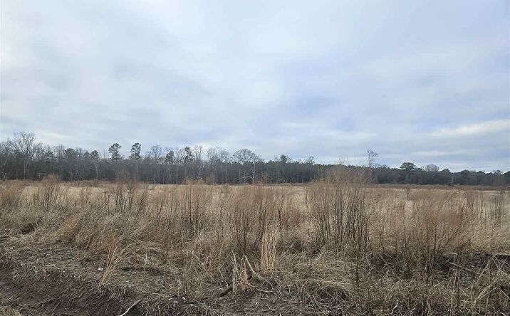 Pictures of Land property located at Sunset Dr, Latta, SC 29565 for sales - image #1