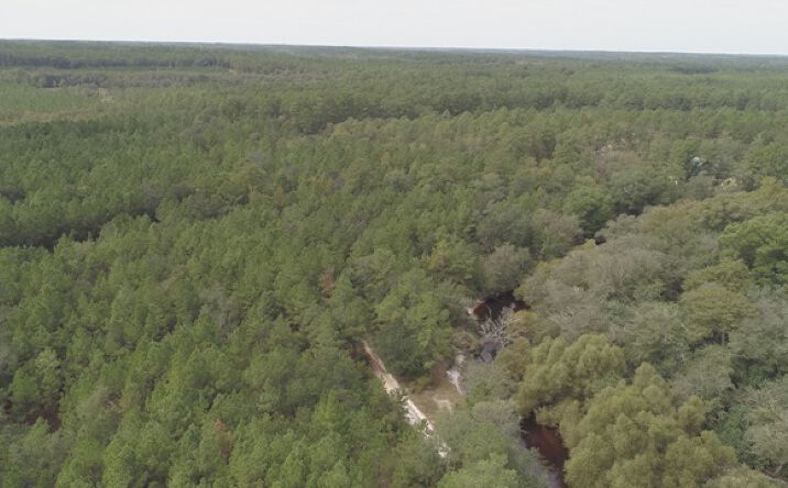 Pictures of Land property located at 0 AREA LINE ROAD, CLAXTON, GA 30417 for sales - image #1