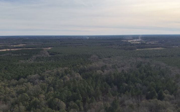 Pictures of Mixed Use, Land property located at 0 Country Club Road, Sylvania, GA 30467 for sales - image #1