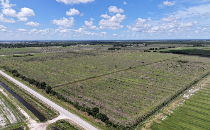 Pictures of Land property located at 6691 County Road 763, Arcadia, FL 34266 for sales - image #1