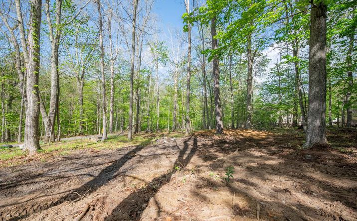 Pictures of Land, Multifamily property located at 3826 S Scenic Highway, Bland, VA 24315 for sales - image #1