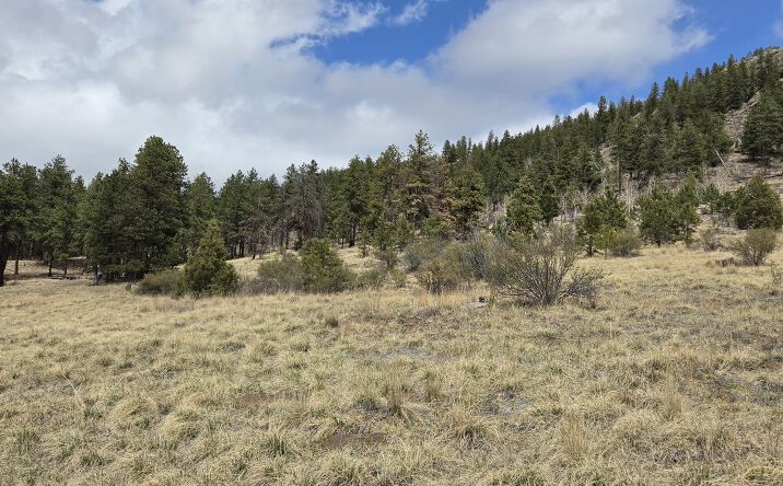 Pictures of Land property located at 62430 HWY 285, BAILEY, CO 80421 for sales - image #1