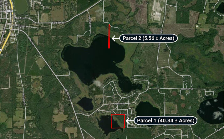 Pictures of Land property located at Faye Street & She She Rd, Hawthorne, FL 32640 for sales - image #1