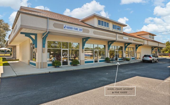Pictures of Business for Sale property located at 1484 Alt 19, Palm Harbor, FL 34683 for sales - image #1