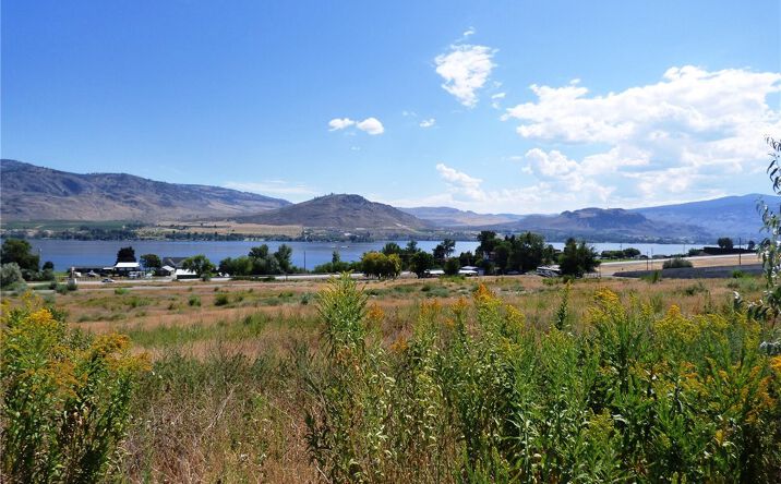 Pictures of Mixed Use, Land property located at 17 Swann Lane, Oroville, WA 98844 for sales - image #1