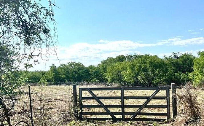Pictures of Land property located at 5967 Granto Road, Poteet, TX 78065 for sales - image #1
