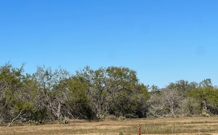Pictures of Land property located at 0 Red Barn Rd, Poteet, TX 78065 for sales - image #1