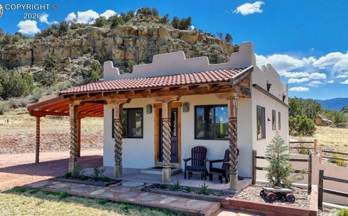 Pictures of Land property located at 254 Bandito Trail, 16387, CO 81226 for sales - image #1