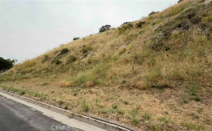 Pictures of Land property located at 10001 Roscoe Blvd, Sun Valley, CA 91352 for sales - image #1