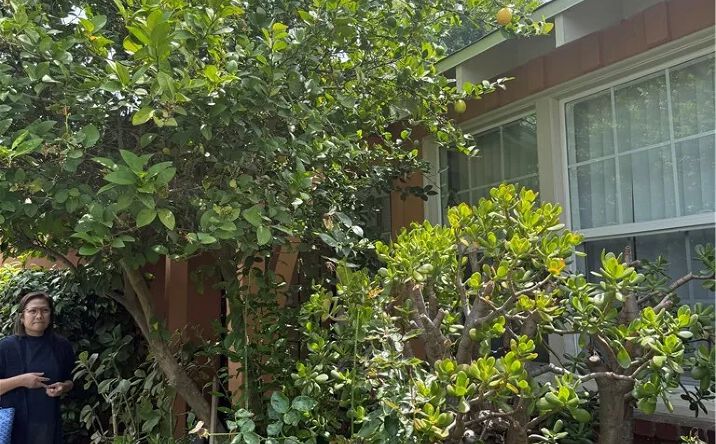 Pictures of Multifamily property located at 6030 Coldwater Canyon, North Hollywood, CA 91606 for sales - image #1