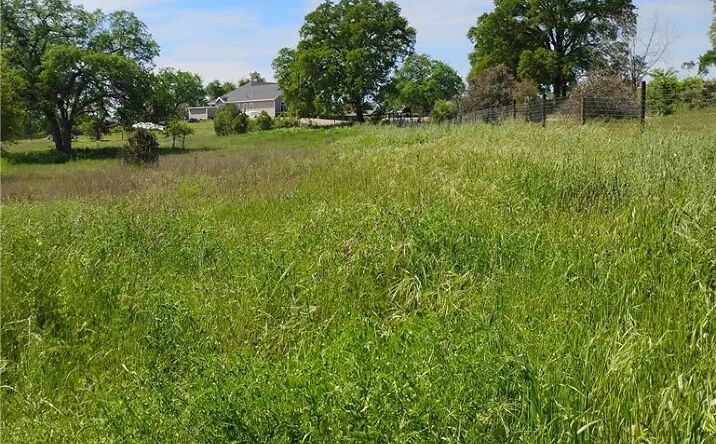 Pictures of Land property located at 35371 Spanish Oak, Auberry, CA 93602 for sales - image #1