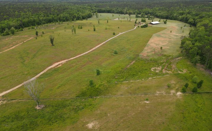 Pictures of Land property located at 1120 Julia Jordan Road, Roberta, GA 31078 for sales - image #1