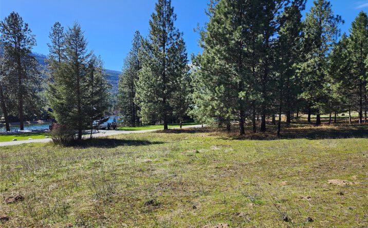 Pictures of Land property located at Lot 1 River Road, Troy, MT 59935 for sales - image #1