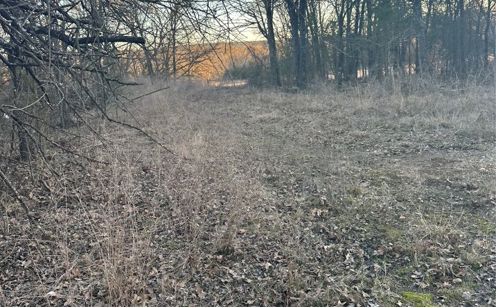 Pictures of Land property located at 416067 E 1841 Road, Moyers, OK 74557 for sales - image #1