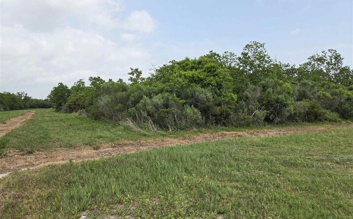 Pictures of Land property located at Christy Drive, Hackberry, LA 70645 for sales - image #1