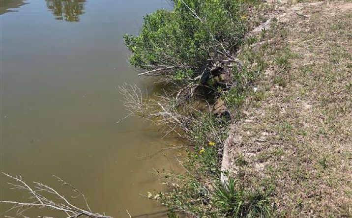 Pictures of Land, Special Purpose property located at Christy Drive, Hackberry, LA 70645 for sales - image #1