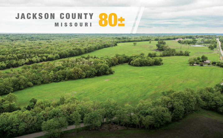 Pictures of Land property located at Raytown Road, Kansas City, MO 64149 for sales - image #1