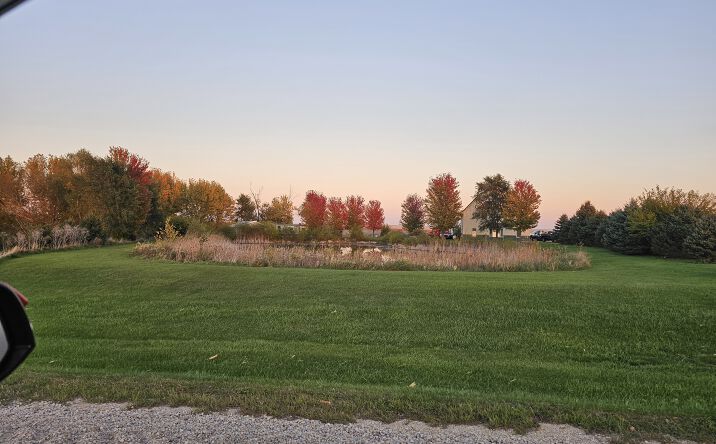 Pictures of Mixed Use, Land property located at 17438 Iowa 14, Allison, IA 50602 for sales - image #1