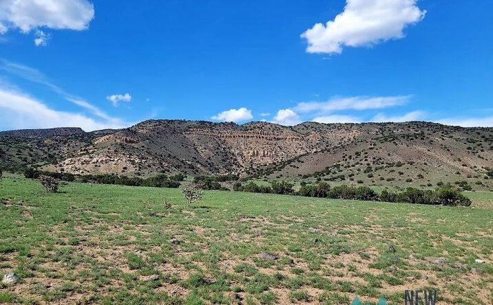 Pictures of Land property located at TBD Rinconada, San Fidel, NM 87049 for sales - image #1