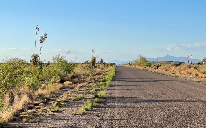 Pictures of Land property located at Yucca Land Estates, Deming, NM 88030 for sales - image #1