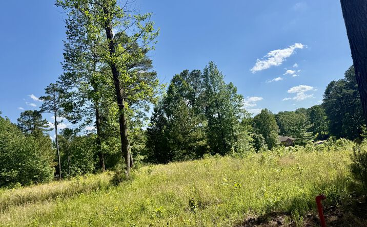 Pictures of Land property located at 23/24 Channing Way, Camden, TN 38320 for sales - image #1