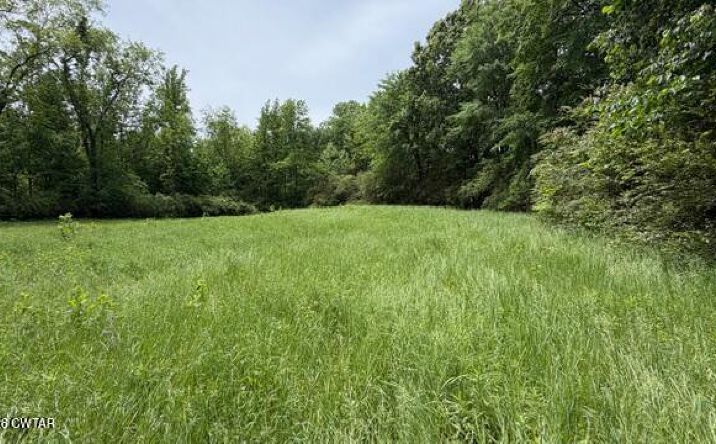 Pictures of Land property located at Terry Road, Cedar Grove, TN 38321 for sales - image #1