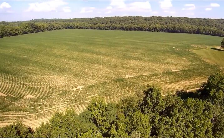 Pictures of Land property located at 100ac Roachester, Morrow, OH 45152 for sales - image #1