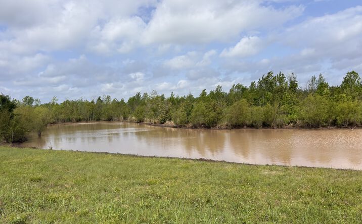 Pictures of Land property located at FM 559, Texarkana, TX 75503-9780 for sales - image #1