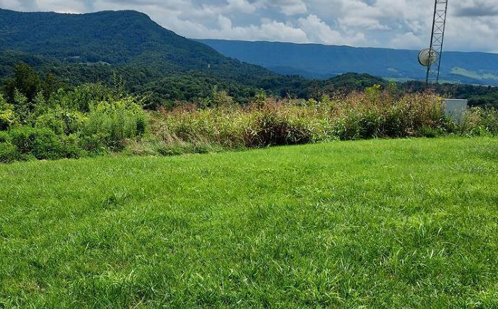 Pictures of Land, Multifamily property located at TBD Champion Street, Cedar Bluff, VA 24609 for sales - image #1