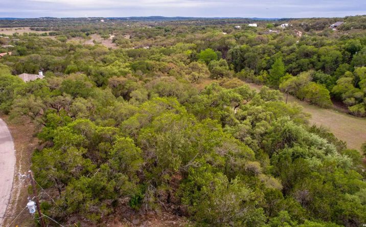 Pictures of Land property located at 183 Palm, 129299, TX 78070 for sales - image #1