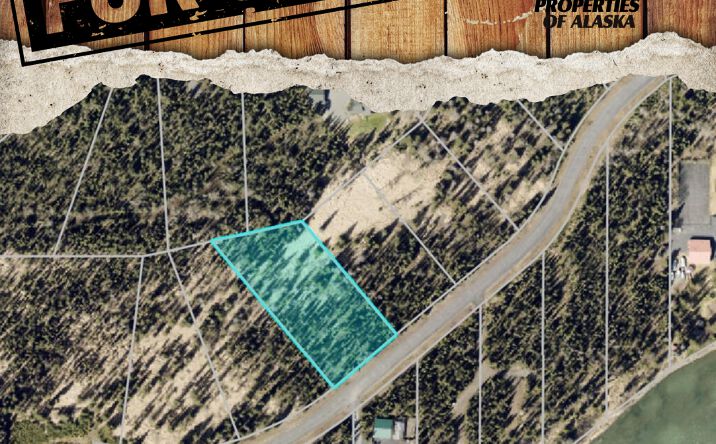 Pictures of Land property located at 860 RIVER ESTS DR, SOLDOTNA, AK 99669 for sales - image #1