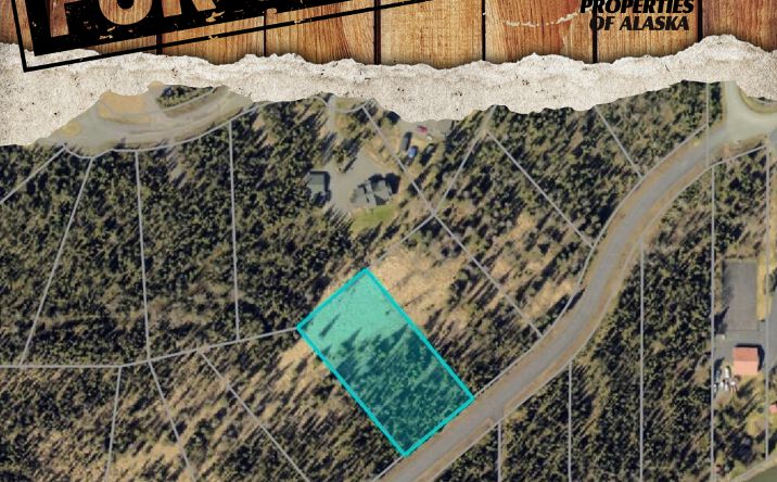 Pictures of Land property located at 876 RIVER ESTS DR, SOLDOTNA, AK 99669 for sales - image #1