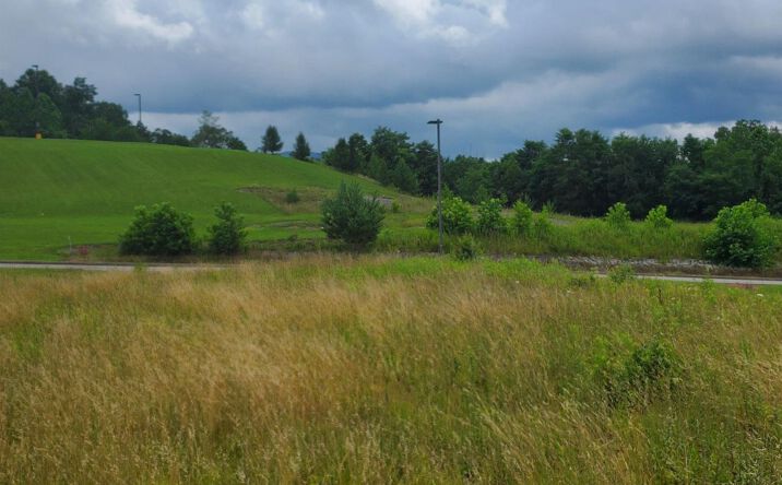 Pictures of Retail, Mixed Use, Land property located at 0000 Plantation Drive, Elkins, WV 26241 for sales - image #1