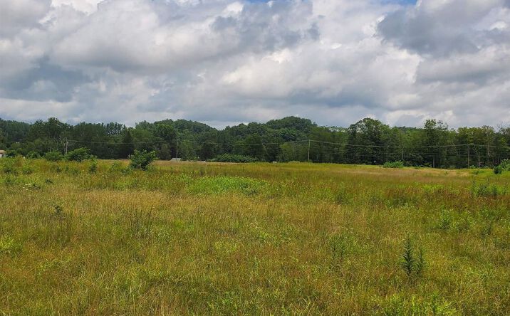 Pictures of Land property located at 000 Plantation Drive, Elkins, WV 26241 for sales - image #1