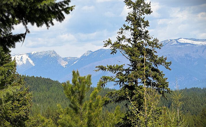 Pictures of Land property located at 78 Ivor Creek Road, Eureka, MT 59917 for sales - image #1