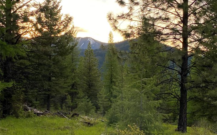 Pictures of Land property located at Lot 6 Panoramic View Drive, Libby, MT 59923 for sales - image #1