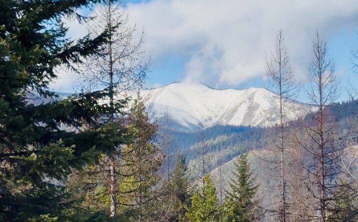 Pictures of Land property located at Lots 5 & 6 Panoramic View Drive, Libby, MT 59923 for sales - image #1