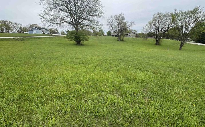 Pictures of Land property located at 161, Ellston, IA 50074 for sales - image #1