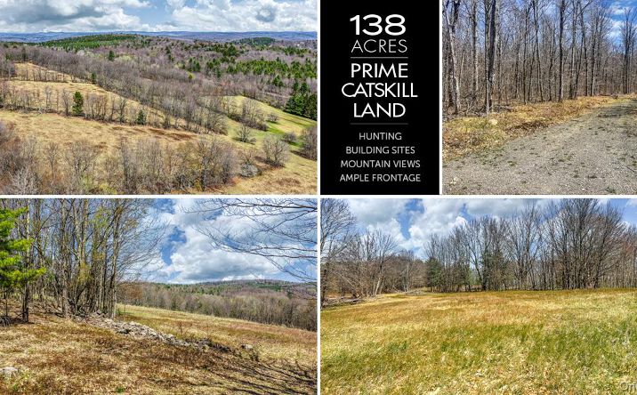 Pictures of Land, Special Purpose property located at Frank Slawson Road, Oneonta, NY 13820 for sales - image #1