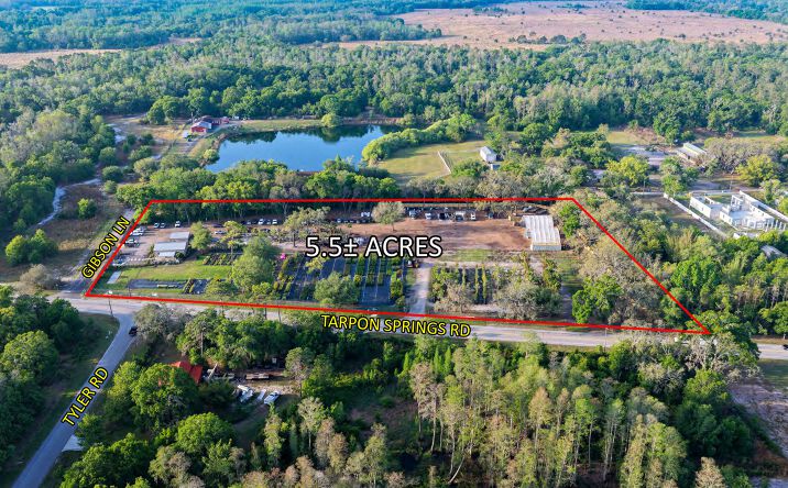 Pictures of Land property located at 12980 Tarpon Springs Rd, Odessa, FL 33556 for sales - image #1
